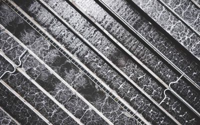 Are there more human viruses than coliphages?